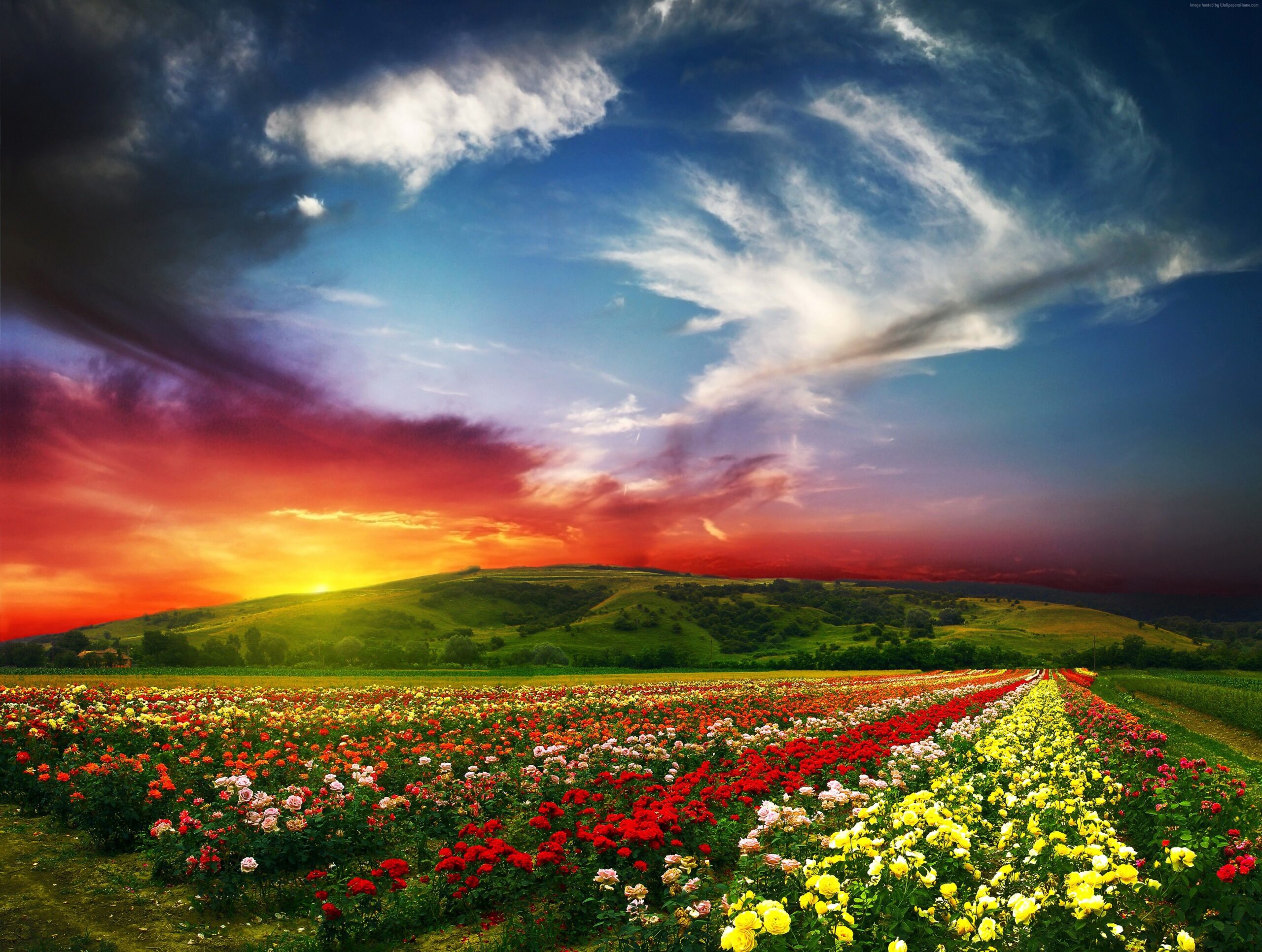 valley of flowers uttarakhand